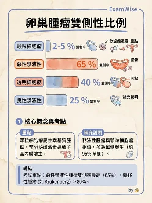 放射 - 生殖系統及乳房疾病 - AI 圖文解析預覽