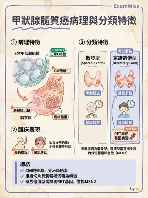 放射 - 內分泌系統疾病 - AI 圖文解析預覽