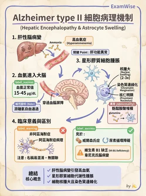 放射 - 神經系統疾病 - AI 圖文解析預覽