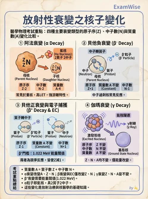 放射 - 放射性蛻變模式 - AI 圖文解析預覽