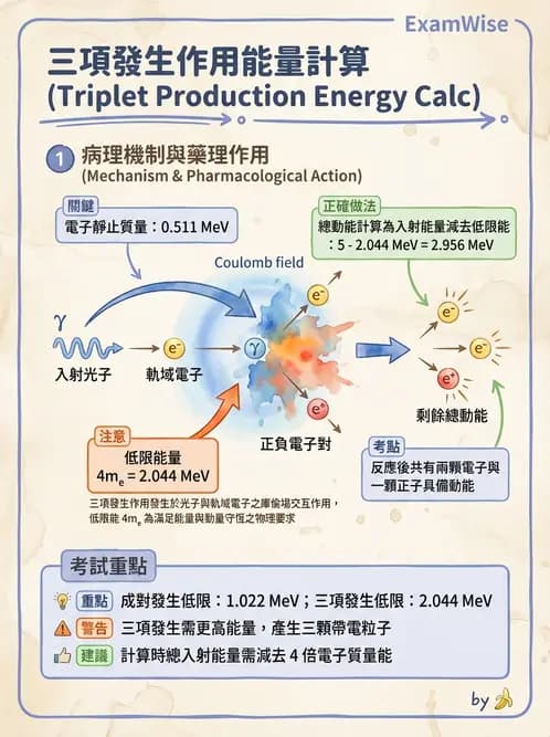 放射 - 光子作用機制 - AI 圖文解析預覽
