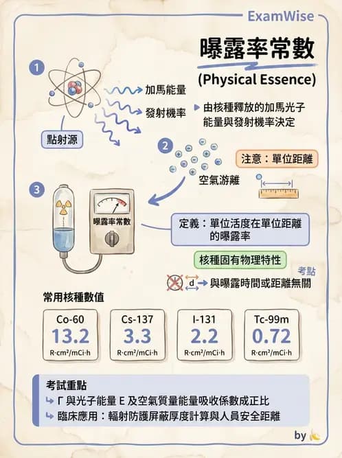 放射 - 體外劑量 - AI 圖文解析預覽