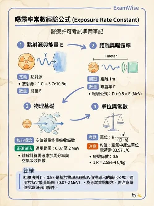放射 - 體外劑量 - AI 圖文解析預覽
