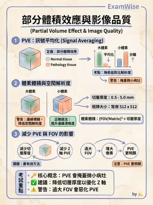 放射 - 透視與數位影像 - AI 圖文解析預覽