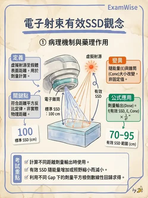 放射 - 特殊治療技術 - AI 圖文解析預覽