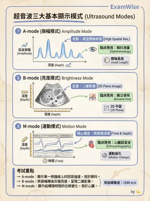 放射 - 超音波成像與都卜勒 - AI 圖文解析預覽