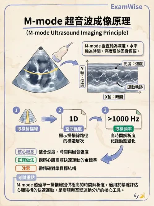 放射 - 超音波成像與都卜勒 - AI 圖文解析預覽