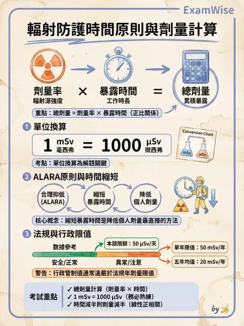 放射 - 體外劑量 - AI 圖文解析預覽