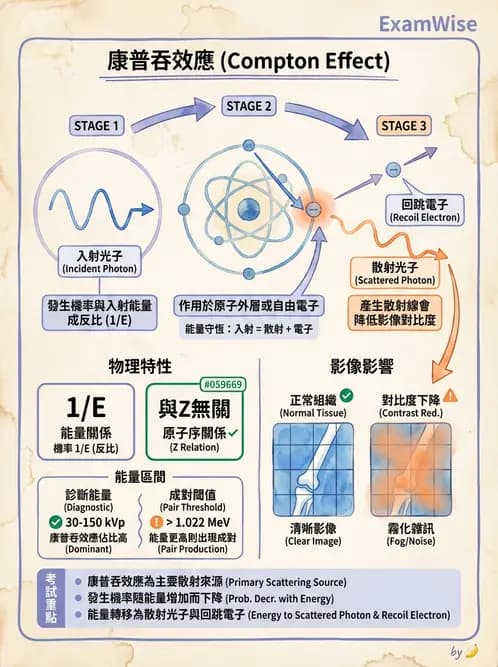 放射 - 光子作用機制 - AI 圖文解析預覽