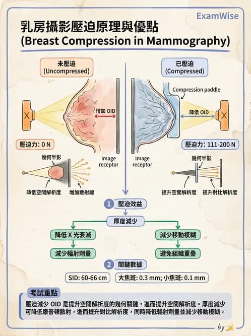 放射 - 乳房攝影裝置與影像品質 - AI 圖文解析預覽