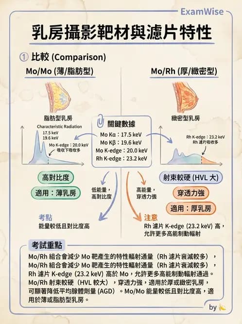 放射 - 乳房攝影裝置與影像品質 - AI 圖文解析預覽