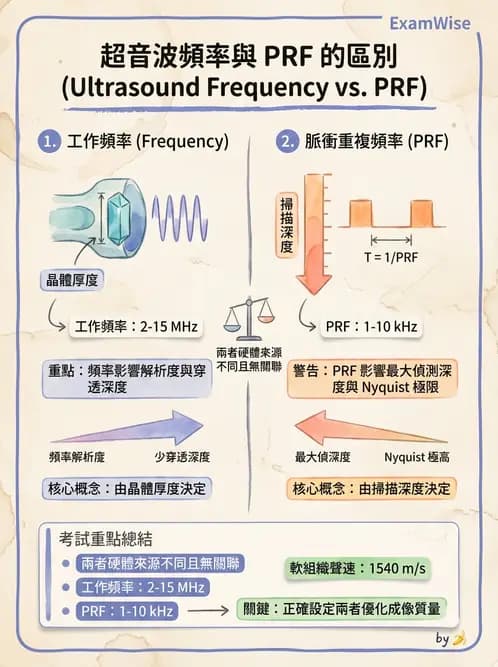 放射 - 超音波物理與系統原理 - AI 圖文解析預覽