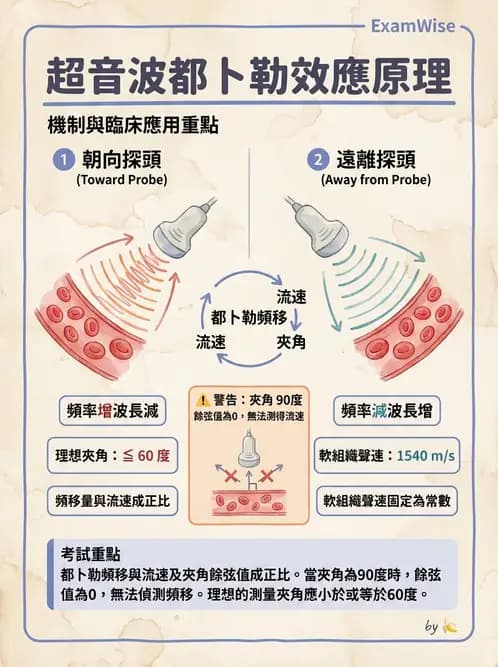 放射 - 都普勒超音波 - AI 圖文解析預覽