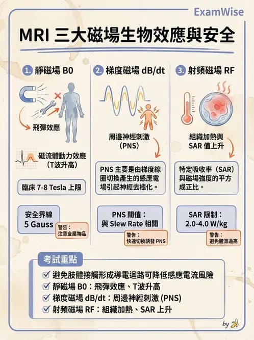 放射 - MRI電子元件與電安全 - AI 圖文解析預覽