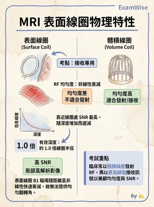 放射 - 射頻系統與線圈 - AI 圖文解析預覽