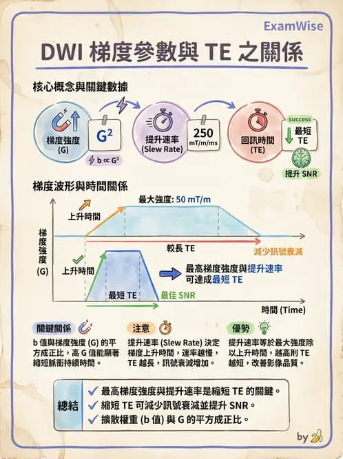 放射 - 梯度線圈與空間編碼 - AI 圖文解析預覽