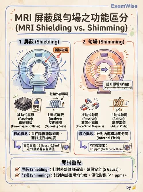 放射 - 磁場與射頻屏蔽 - AI 圖文解析預覽