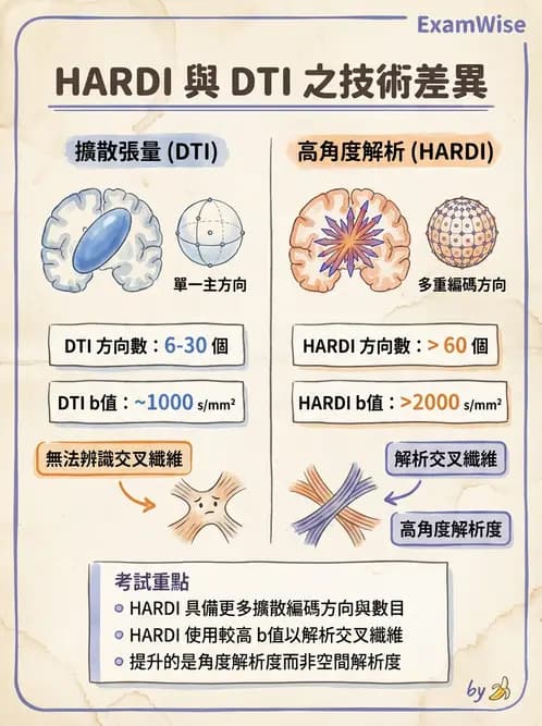 放射 - 梯度線圈與空間編碼 - AI 圖文解析預覽