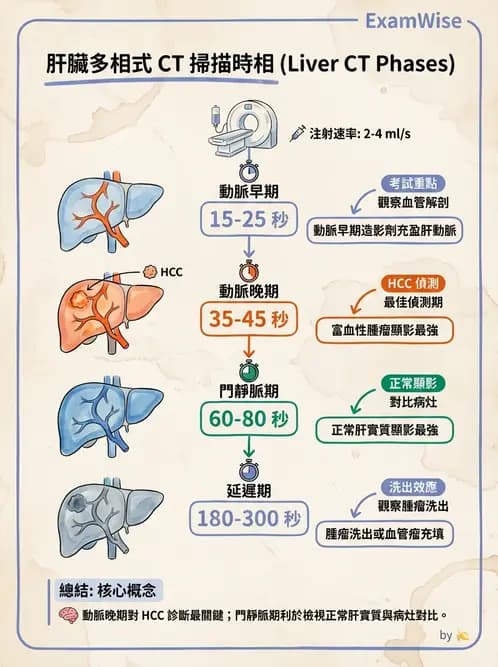 放射 - 胸腹部CT診斷 - AI 圖文解析預覽