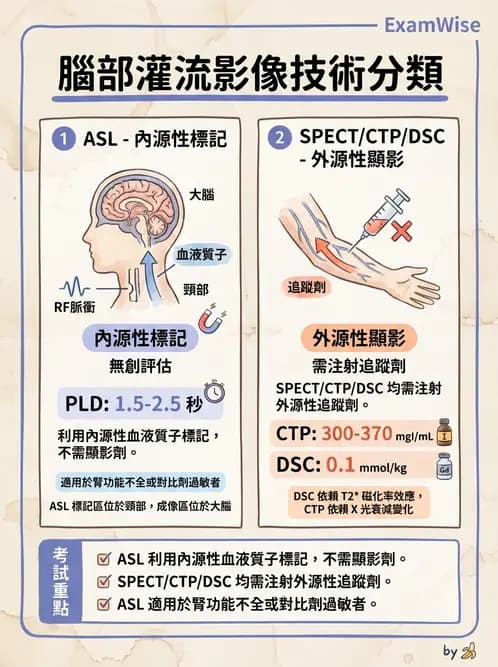 放射 - MR進階影像與臨床應用 - AI 圖文解析預覽