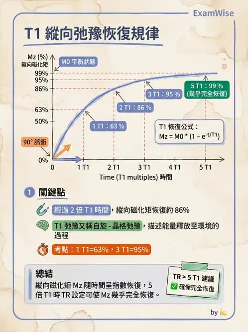 放射 - 磁振造影原理 - AI 圖文解析預覽