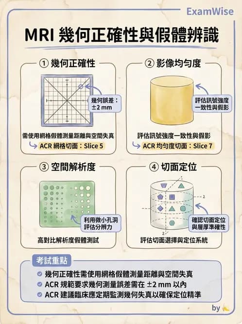 放射 - 磁振影像品質與參數 - AI 圖文解析預覽