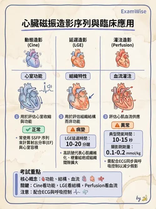 放射 - MR進階影像與臨床應用 - AI 圖文解析預覽