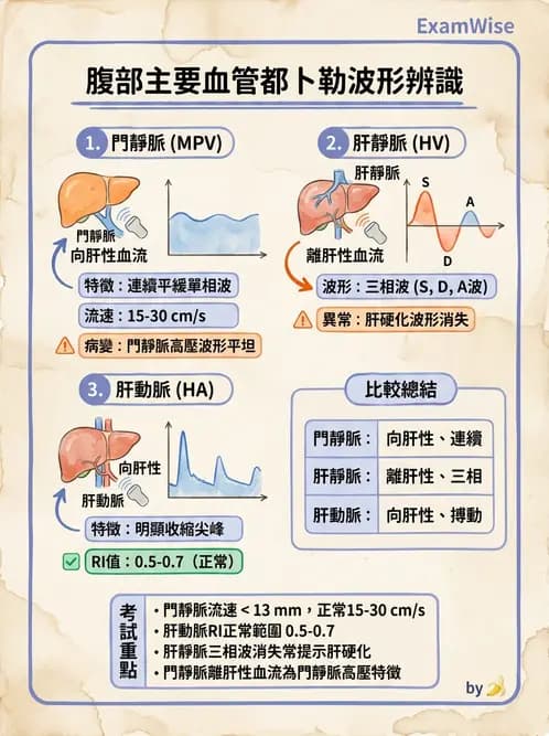 放射 - 肝臟超音波 - AI 圖文解析預覽