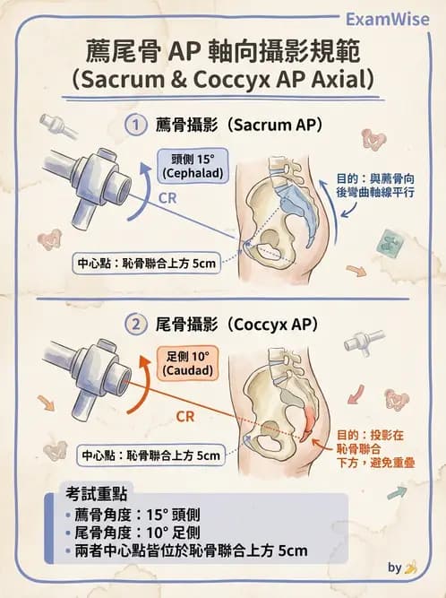 放射 - 頭頸脊椎攝影技術 - AI 圖文解析預覽