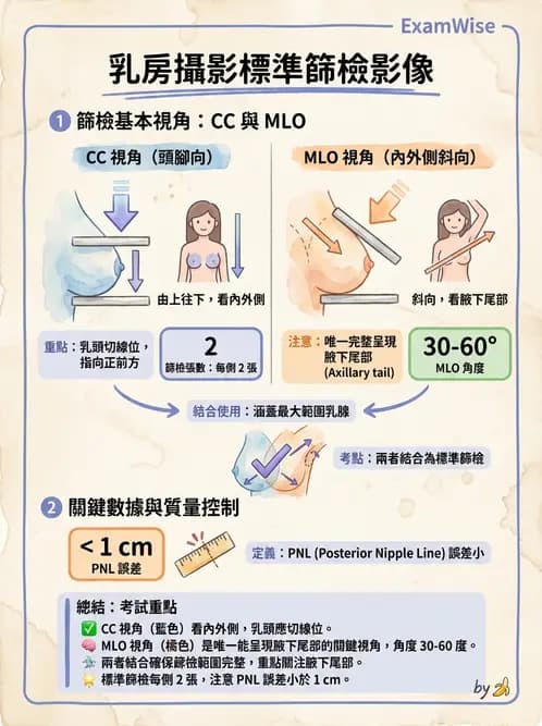 放射 - 乳房攝影與其他特殊檢查 - AI 圖文解析預覽