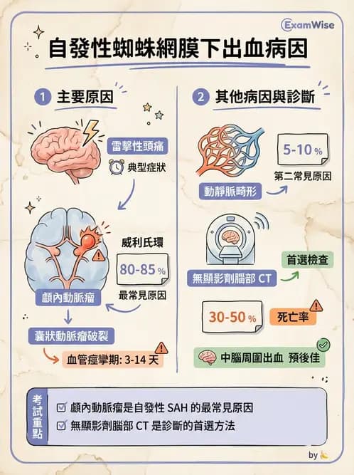 放射 - 頭頸部CT診斷 - AI 圖文解析預覽