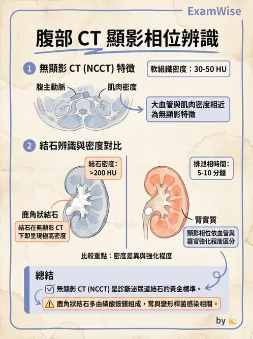 放射 - 胸腹部CT診斷 - AI 圖文解析預覽