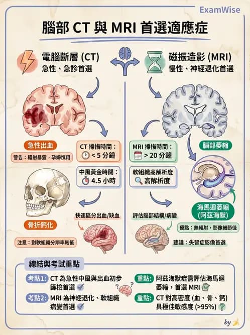 放射 - 頭頸部CT診斷 - AI 圖文解析預覽