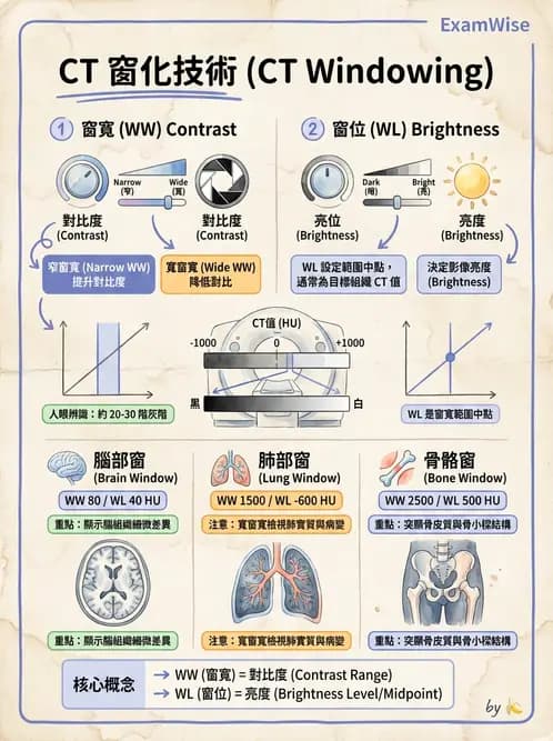 放射 - CTA與CT影像技術應用 - AI 圖文解析預覽
