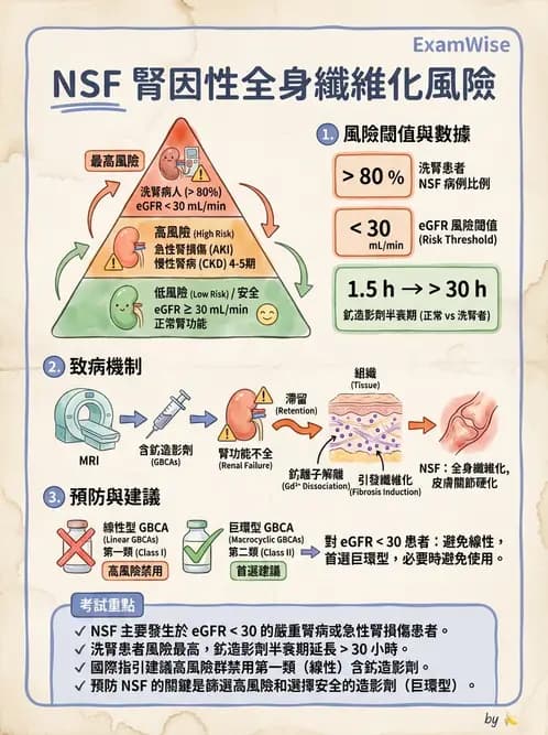 放射 - MRI安全與顯影劑 - AI 圖文解析預覽