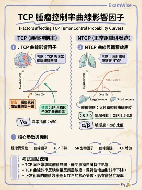 放射 - 腫瘤反應預測 - AI 圖文解析預覽