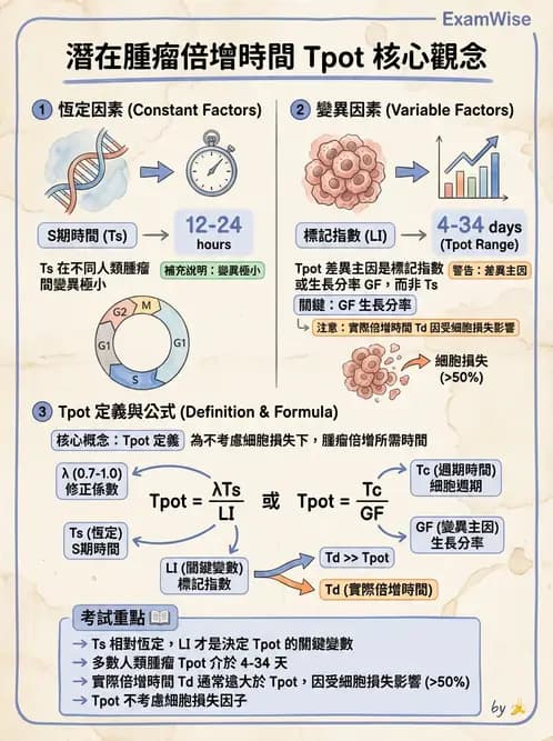 放射 - 細胞與腫瘤動力學 - AI 圖文解析預覽