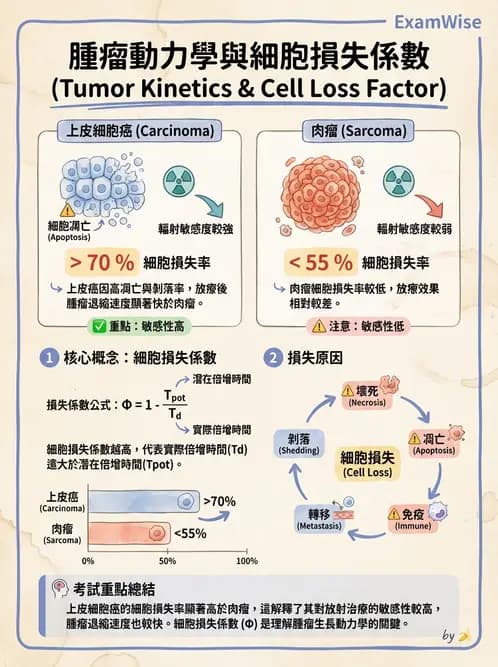 放射 - 細胞與腫瘤動力學 - AI 圖文解析預覽
