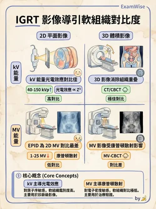 放射 - 影像導引放射治療(IGRT)與臨床應用 - AI 圖文解析預覽