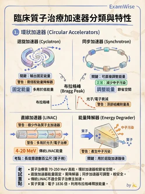 放射 - 質子與粒子治療 - AI 圖文解析預覽