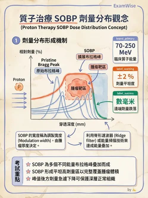 放射 - 質子與粒子治療 - AI 圖文解析預覽
