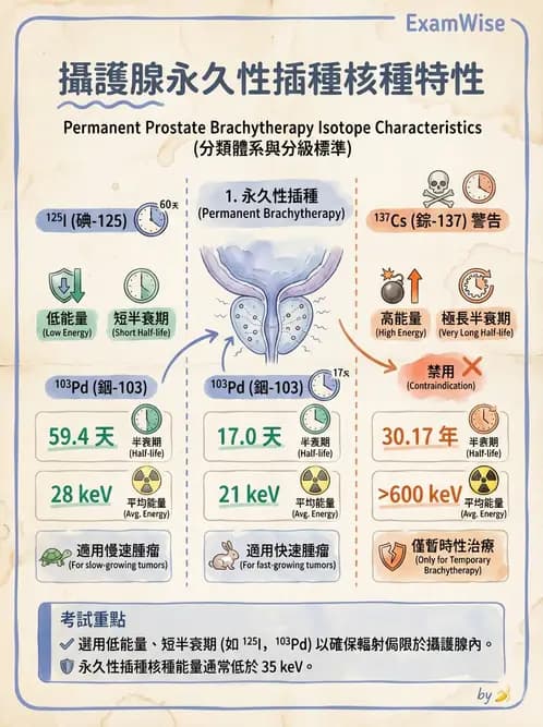 放射 - 插種近接治療 - AI 圖文解析預覽