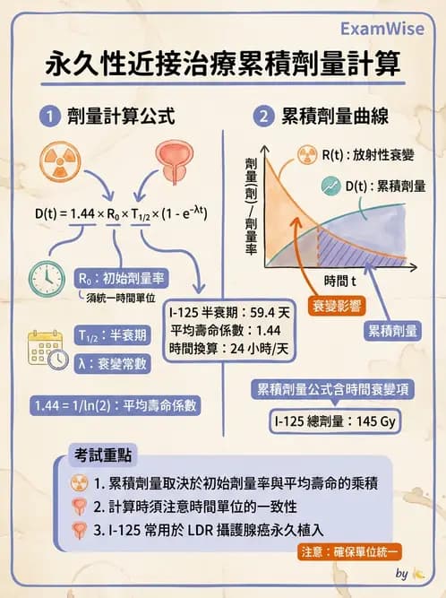 放射 - 插種近接治療 - AI 圖文解析預覽