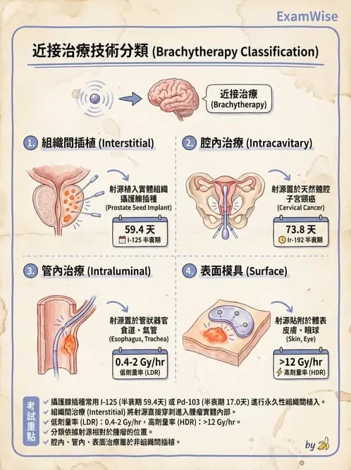 放射 - 插種近接治療 - AI 圖文解析預覽