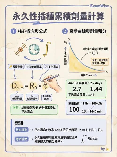 放射 - 插種近接治療 - AI 圖文解析預覽