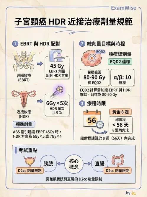 放射 - 近接放射治療臨床計畫與應用 - AI 圖文解析預覽