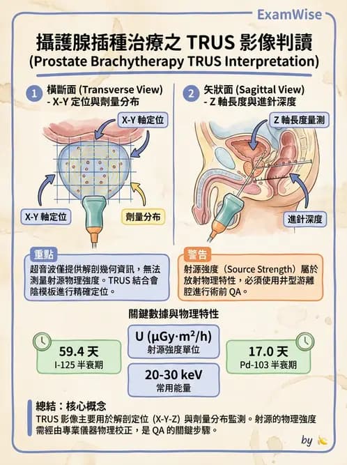 放射 - 插種近接治療 - AI 圖文解析預覽