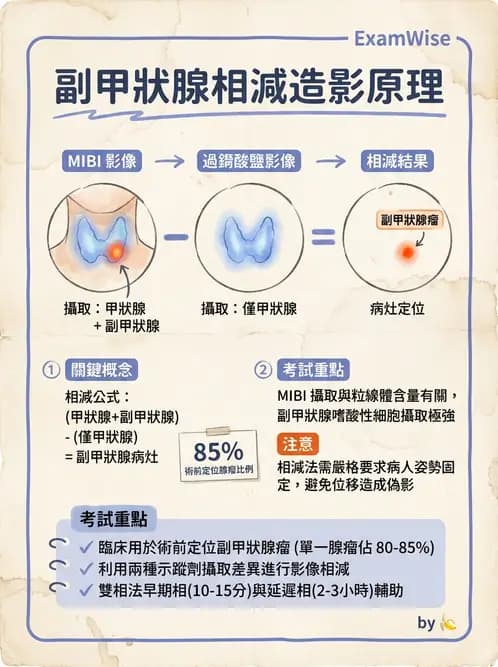 放射 - 副甲狀腺與前哨淋巴結造影 - AI 圖文解析預覽