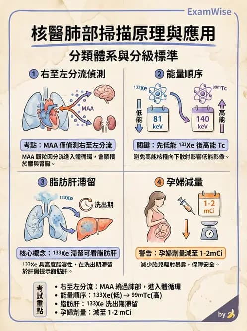 放射 - 肺部與感染造影 - AI 圖文解析預覽