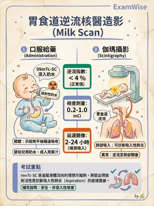 放射 - 消化道造影 - AI 圖文解析預覽